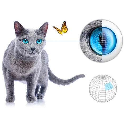 Na zdjęciu znajduje się ilustracja przedstawiająca czujnik ruchu, światła i temperatury, z wizualizacją jego działania w postaci siatki sferycznej oraz zbliżenia na oko kota. Obok czujnika widoczny jest kot oraz motyl, co sugeruje precyzyjne wykrywanie ruchu.