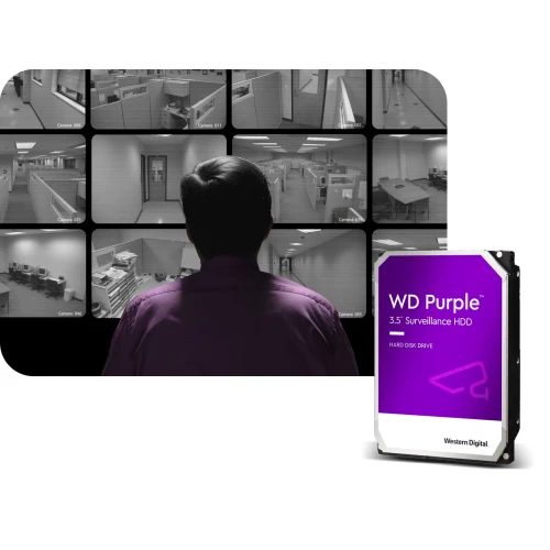 Hårddisk för övervakning WD Purple 1TB